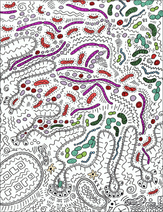 Crohn's Ecosystem